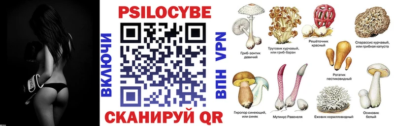Галлюциногенные грибы Cubensis  ОМГ ОМГ tor  Райчихинск 