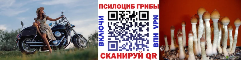 Псилоцибиновые грибы Magic Shrooms Райчихинск